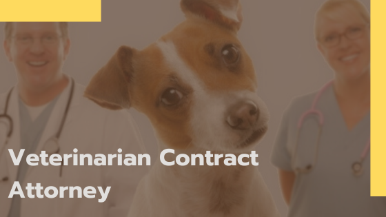 Common Mistakes Veterinarians Make When It Comes to Employment Contracts