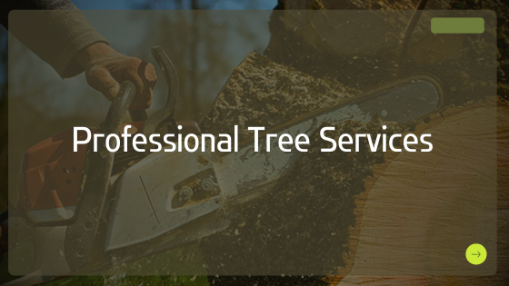 Understanding and Importance of Hazard Tree Removal in Annapolis, MD