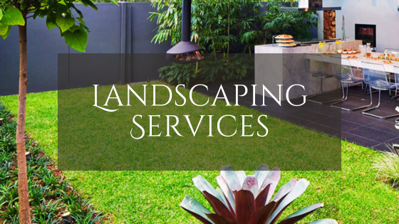 Transform Your Outdoor Space: Inspiring Landscaping Ideas for Anderson, SC Homeowners