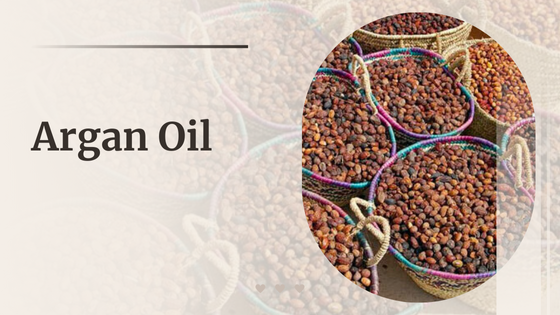 ArganOilBulk: The Leading Argan Oil Wholesale Company