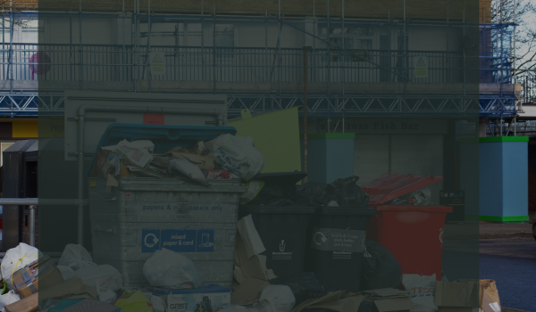 Junk Removal in Hamilton: Price Your Pile Accurate